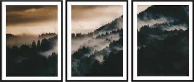 Image de BILDPOSTER EN CADRE 33x43cm Triptyque Set de 3 peintures Paysage de forêt P2035