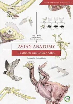 Immagine prodotto di Avian Anatomy 2nd Edition