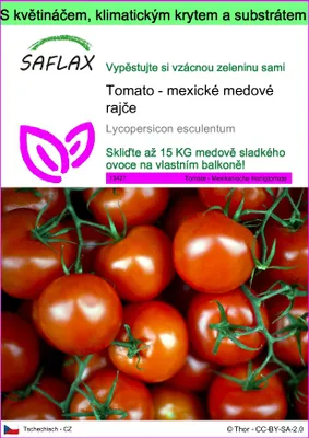 Obrázek produktu pro SAFLAX Garden to go - Tomato - mexické medové rajče - Lycopersicon esculentum - 10 Semena - S květináčem, klimatickou poklicí a pěstebním substrátem