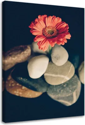 Produktbild von Leinwandbild steine und rote blume 80x120 cm Feeby orange wandbild bereit zum aufhängen