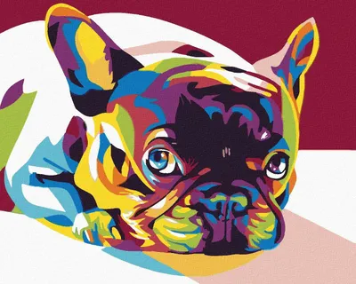 Zdjęcie produktu dla Obraz według numerów - Kolorowy buldog, 100x80 cm, płótno na blejtramie