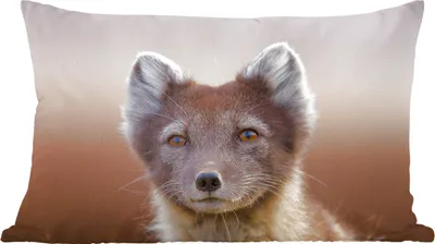 Produktbild von MuchoWow® Zierkissen Sofakissen Wohnzimmer Dekokissen 60x40 cm Fuchs - Porträt - Braun - Kopfkissen - Polster mit Foto