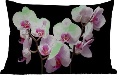 Produktbild von MuchoWow® Outdoor Kissen - Orchidee - Blumen - Rosa - Flora - 50x30 cm - Wetterfest - Lounge Kissen - Sofa kissen - Wohnzimmer Dekoration