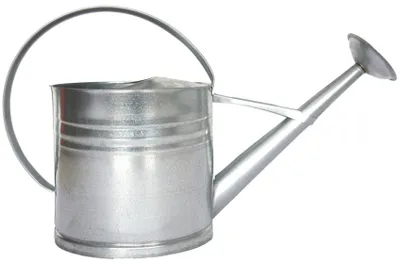 Zdjęcie produktu dla Konewka cynkowa 10 L