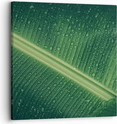 Produktbild von Bild auf Leinwand - Leinwandbild - Einteilig - Makro Blatt Tropfen - 30x30cm - Wand Bild - Wanddeko - Wandbilder - Leinwanddruck - Bilder - Wanddekoration - Leinwand bilder - Wandbild - AC30x30-4372