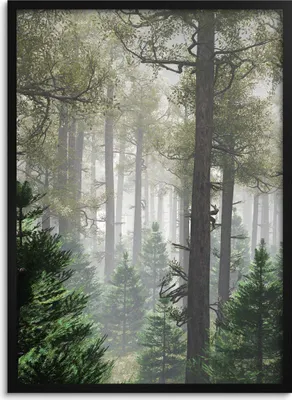 Produktbild von Wandposter für Schlafzimmer oder Wohnzimmer Wandbild im Rahmen 50x70 Wald Bäume