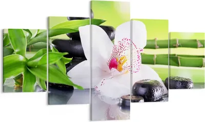 Produktbild von Bild auf Leinwand - Leinwandbild - blume orchidee - 125x70cm - Wand Bild - Wanddeko - Wandbilder - Leinwanddruck - Bilder - Kunstdruck - Wanddekoration - Leinwand bilder - Wandkunst - EA125x70-3659