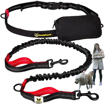 Jogginggurt mit Hundeleine, 120-170 cm, elastisch, reflektierend, gepolstert
