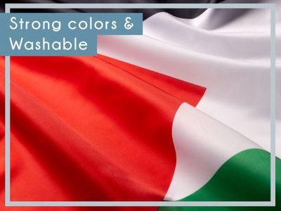 Lufterfrischer Palästina Länderflagge