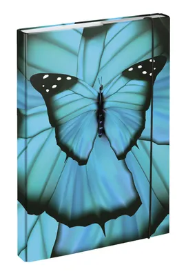 Obrázok produktu pre BAAGL Dosky na školské zošity A4 Butterfly