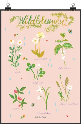 Produktbild von Mr. & Mrs. Panda Bild Wildblumen DIN A2 - Geschenk, Blumen, Kunstdruck, Blume, Wildblume, wandkunst, Dekoration, Posterdruck, wanddeko, drucke