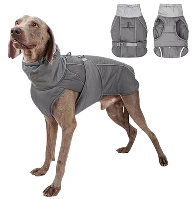 Immagine prodotto di Giacca invernale per cani, impermeabile e calda, ideale per cuccioli e cani di tutte le taglie