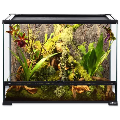 Image de Terrarium 60 x 45 x 45 cm 1 pc