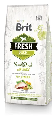 Produktbild von Brit Dog Fresh Active Ente & Hirse 12kg