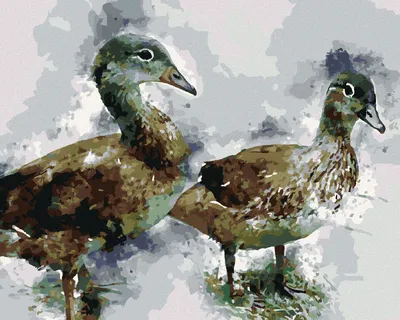 Produktbild von Zuty - Malen nach Zahlen - JUNGE ENTEN, 40x50 cm, ohne Keilrahmen