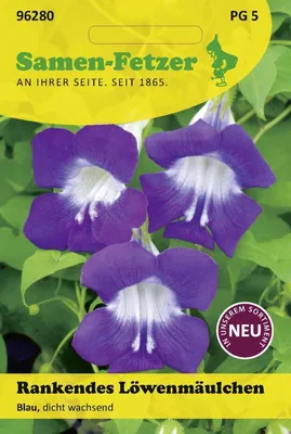 Produktbild von Rankendes Löwenmäulchen