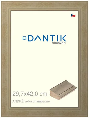 Obrázek produktu pro DANTIK rámeček 29,7x42 | ANDRÉ velká champagne (Plexi Čiré)