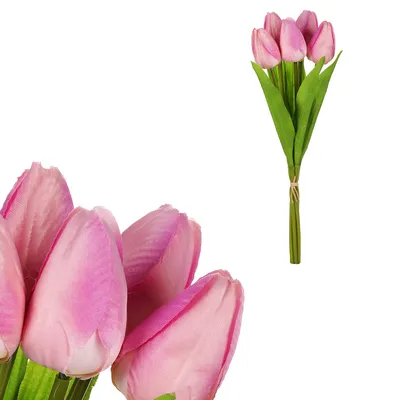 Obrázek produktu pro Autronic Tulipány fialová KN6121 LILA