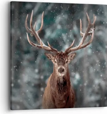 Produktbild von Bild auf Leinwand - Leinwandbild - Einteilig - Hirsch Hirsch Winter - 40x40cm - Wand Bild - Wanddeko - Wandbilder - Leinwanddruck - Bilder - Wanddekoration - Leinwand bilder - Wandbild - AC40x40-4998