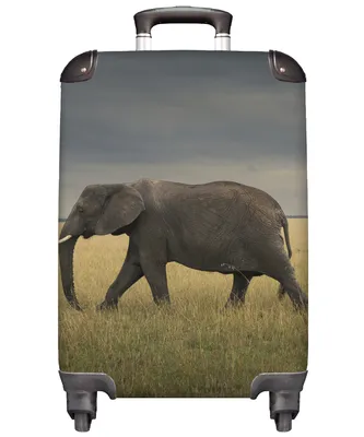 Produktbild von MuchoWow® Koffer Handgepäck Trolley Rollkoffer Kleine Reisekoffer mit 4 Rollen - Elefant - Savanne - Tiere - Natur - Cabin Size < 55x40x23 cm & 55x40x20 cm - Fotokoffer - Kabinenkoffer - Boardgepäck - Reise-Box - Reisekoffer - Reisegepäck - Koffer mit Bild - Trolley für Kinder