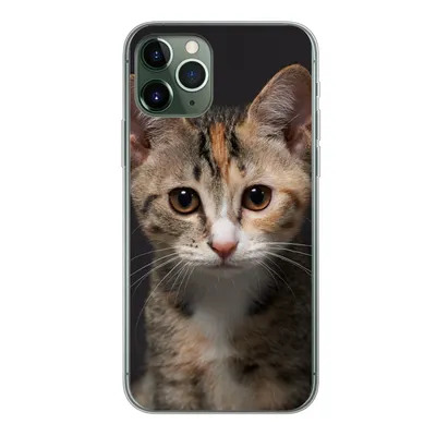 Produktbild von MuchoWow® Handyhülle Schutzhülle Hülle für iPhone 11 Pro Katze - Schwarz - Porträt Silikon Softcase Handy Hülle - Handy