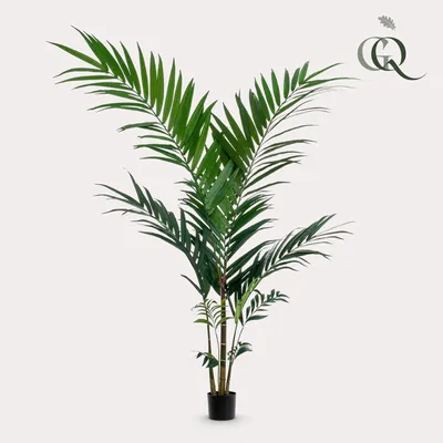 Image de Green boutiQ - Plante artificielle - Kentia -Kentiapalm - 150cm - Vert - Sans entretien - Haute qualité