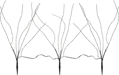 Three LED illuminated branches are arranged in a line against a white background.