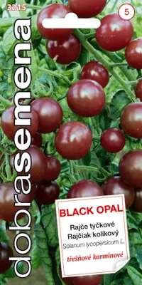 Obrázok produktu pre Rajčiak čerešnový BLACK OPAL DOBRASEMENA