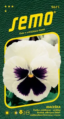 Produktbild von Gartenstiefmütterchen Samen - weiß mit Auge 0,3g
