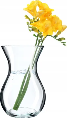 Produktbild von KADAX Blumenvase "Jena", Vase aus Glas, Glasblumenvase, Durchsichtige Tischvase, Klarglasvase, 1 Stück