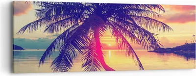 Produktbild von Bild auf Leinwand - Leinwandbild - Meer Strand Palme - 90x30cm - Wand Bild - Wanddeko - Wandbilder - Leinwanddruck - Bilder - Kunstdruck - Wanddekoration - Leinwand bilder - Wandkunst - AB90x30-3925