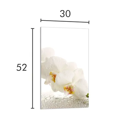 Obrázok produktu pre SKLENENÁ DOSKA NA KRÁJANIE 30x52 Orchid