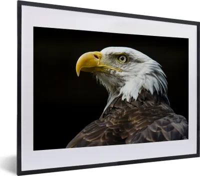 Produktbild von MuchoWow® MuchoWow® Gerahmtes Poster Seitenansicht eines Weißkopfseeadlers 40x30 cm - Poster mit zchwarzem Bilderrahmen - Bilderrahmen - Poster im Rahmen