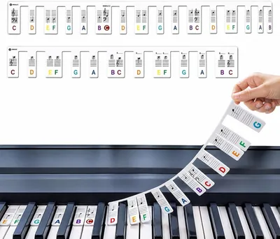 Produktbild von RUOVANL Abnehmbare Silikon Piano Note Guide, Bunte 61 Tasten Tastatur Aufkleber in voller Größe, Wiederverwendbare Lernhilfe für Klavier & Keyboard Anfänger