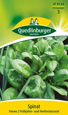 Produktbild von Spinat Viking | Spinatsamen von Quedlinburger