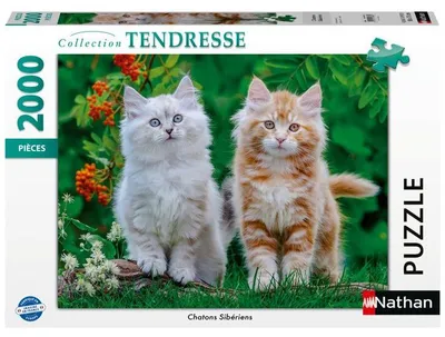Produktbild von Puzzle, 2000 Teile, Chatons Sibériens, Hochwertige Qualität, Collection Tendresse