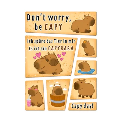 Produktbild von Capybara Magnet Set mit Spruch Dont worry be capy