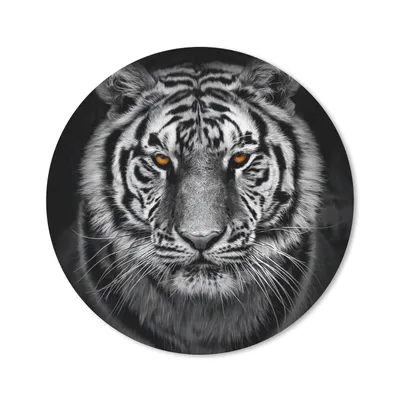 Produktbild von MuchoWow® Mauspad Mousepad Tiger - Orange - Schwarz - Weiß 50x50 cm - Mousepads - Maus Mat - Pad - Mausunterlage - Vinyl