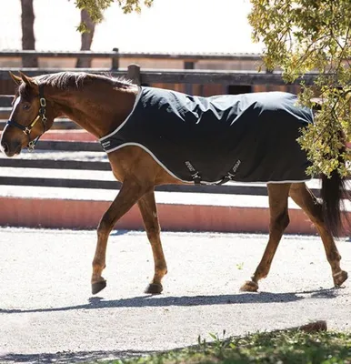 Immagine prodotto di Horseware Ireland Walker Rug 200g Walker Rug Amigo Nero/Argento M (130-140cm)