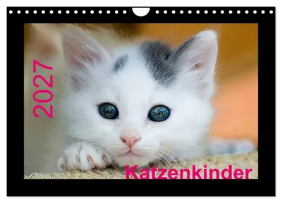Produktbild von Katzenkinder (Wandkalender 2027 DIN A4 quer), CALVENDO Monatskalender