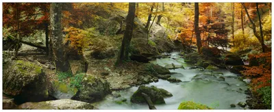 Produktbild von Wallario Wandbild aus Acryl, 125 x 50 cm, freischwebende Optik - Wasserfall mit moosbedeckten Steinen im Herbstwald