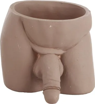 Image de Pot de fleur intéressant Cadeau Pot de fleur pour petites plantes d'intérieur et succulentes Décoration d'intérieur