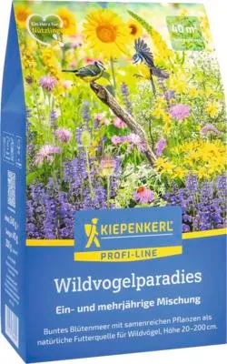 Produktbild von Kiepenkerl Blumensamen Wildvogelparadies 40 m²