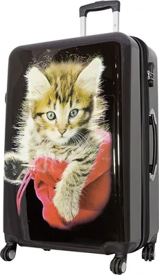 Produktbild von Großer Reisekoffer 115 Li, hübsche Katze Tiermotiv Koffer 77 cm Schwarz Bowatex
