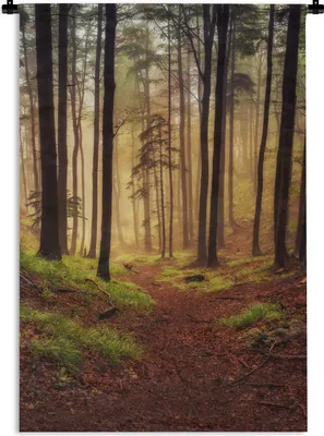 Produktbild von MuchoWow® Wandteppich Wandbehang Bäume - Natur - Wald 60x90 cm Tapisserie Dekoration Wandtuch - Foto-Teppich - Abwaschbar