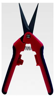 Produktbild von Präzisionsschere mit scharfen Klingen
