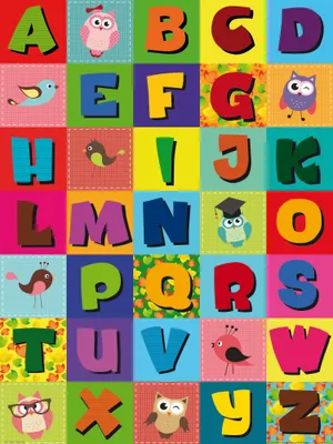 Produktbild von Schule Kunstdruck Bild - Vogelalphabet (80 x 60 cm)