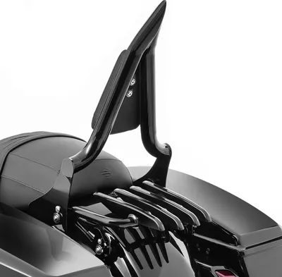 Image de Sissybar avec porte-bagages ST adaptable sur Harley Davidson Street Glide