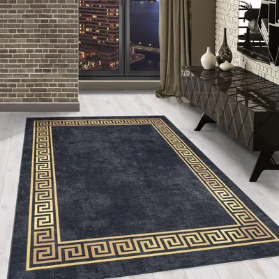 Zdjęcie produktu dla Carpetsale24 Prany Dywan Krótkow?osy do Salonu Nowoczesny Styl Antypo?lizgowy ?atwy w Piel?gnacji do Sypialni, Rozmiar: 200x290 cm