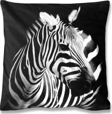 Obrázok produktu pre Obliečka na vankúš Photo Print Zebra Velour Black 40x40cm